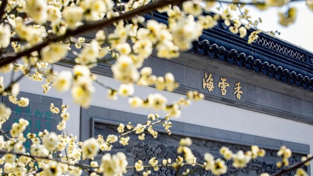 圖源:南京大學(xué)官方公眾號 圖源:南京大學(xué)官方公眾號