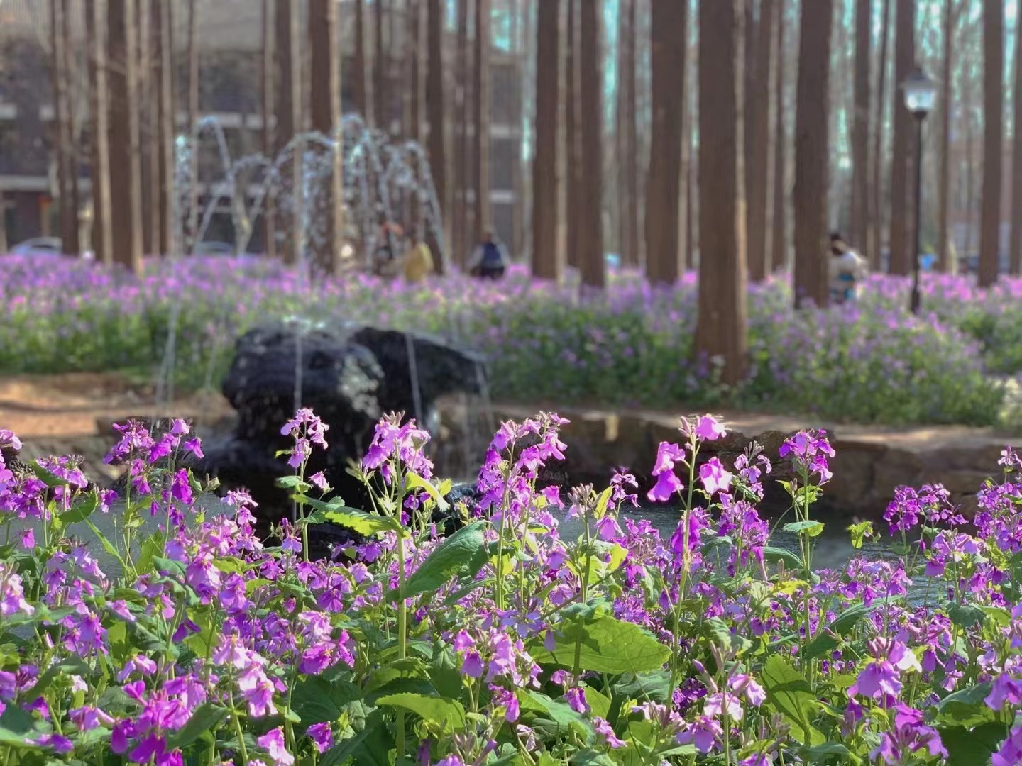 圖源:南京理工大學(xué)公共事務(wù)學(xué)院副教授沈捷 圖源:南京理工大學(xué)公共事務(wù)學(xué)院副教授沈捷