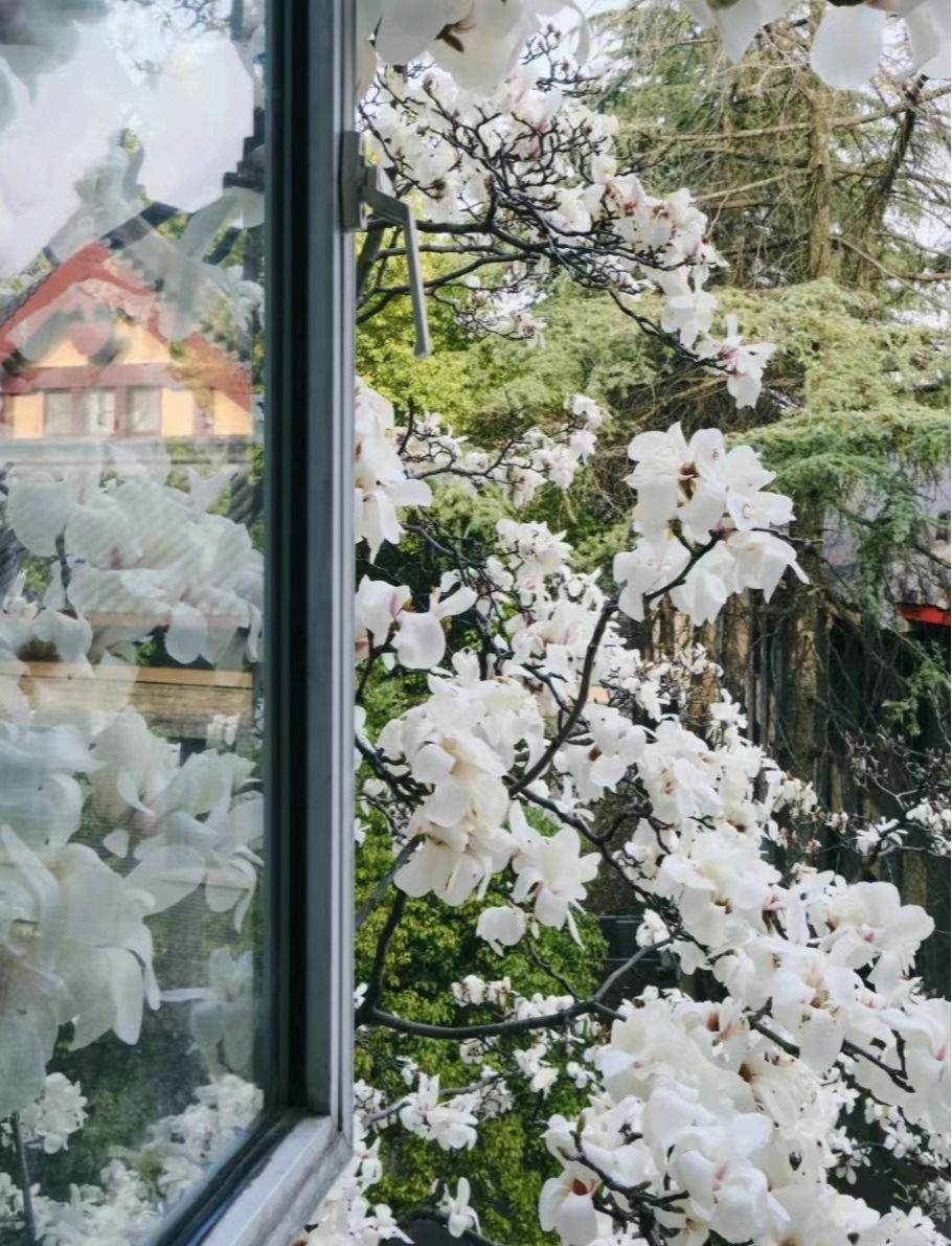 圖源:網(wǎng)友@球球凡的影像實驗室 圖源:網(wǎng)友@球球凡的影像實驗室