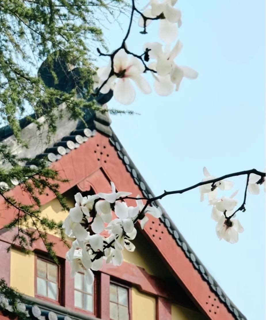 圖源:網(wǎng)友@球球凡的影像實驗室 圖源:網(wǎng)友@球球凡的影像實驗室