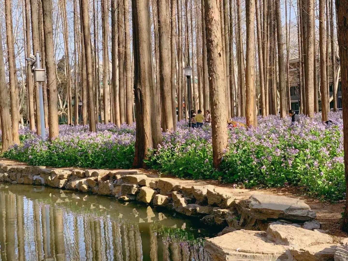 圖源:南京理工大學(xué)公共事務(wù)學(xué)院副教授沈捷 圖源:南京理工大學(xué)公共事務(wù)學(xué)院副教授沈捷