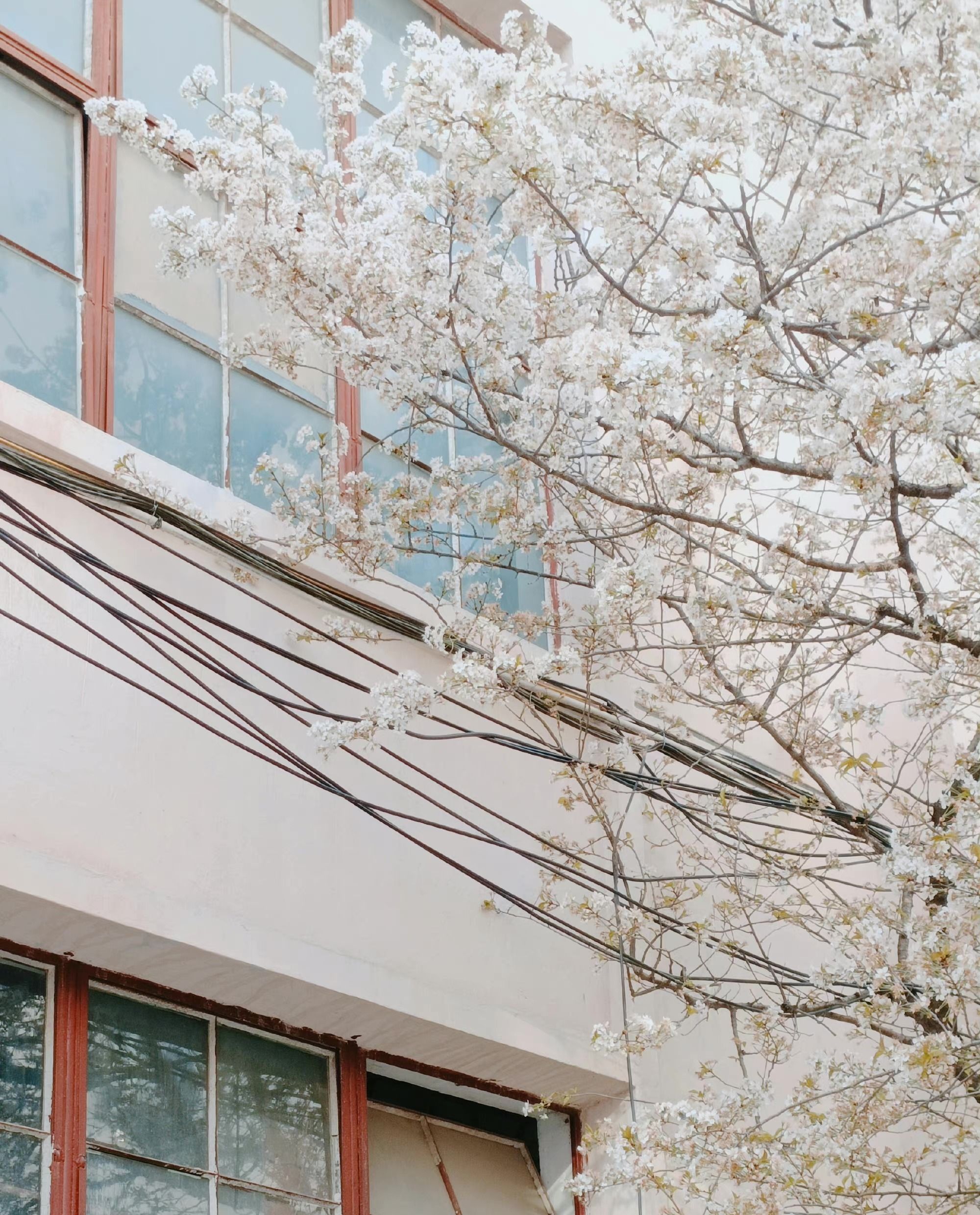 圖源:網(wǎng)友@一思也 圖源:網(wǎng)友@一思也