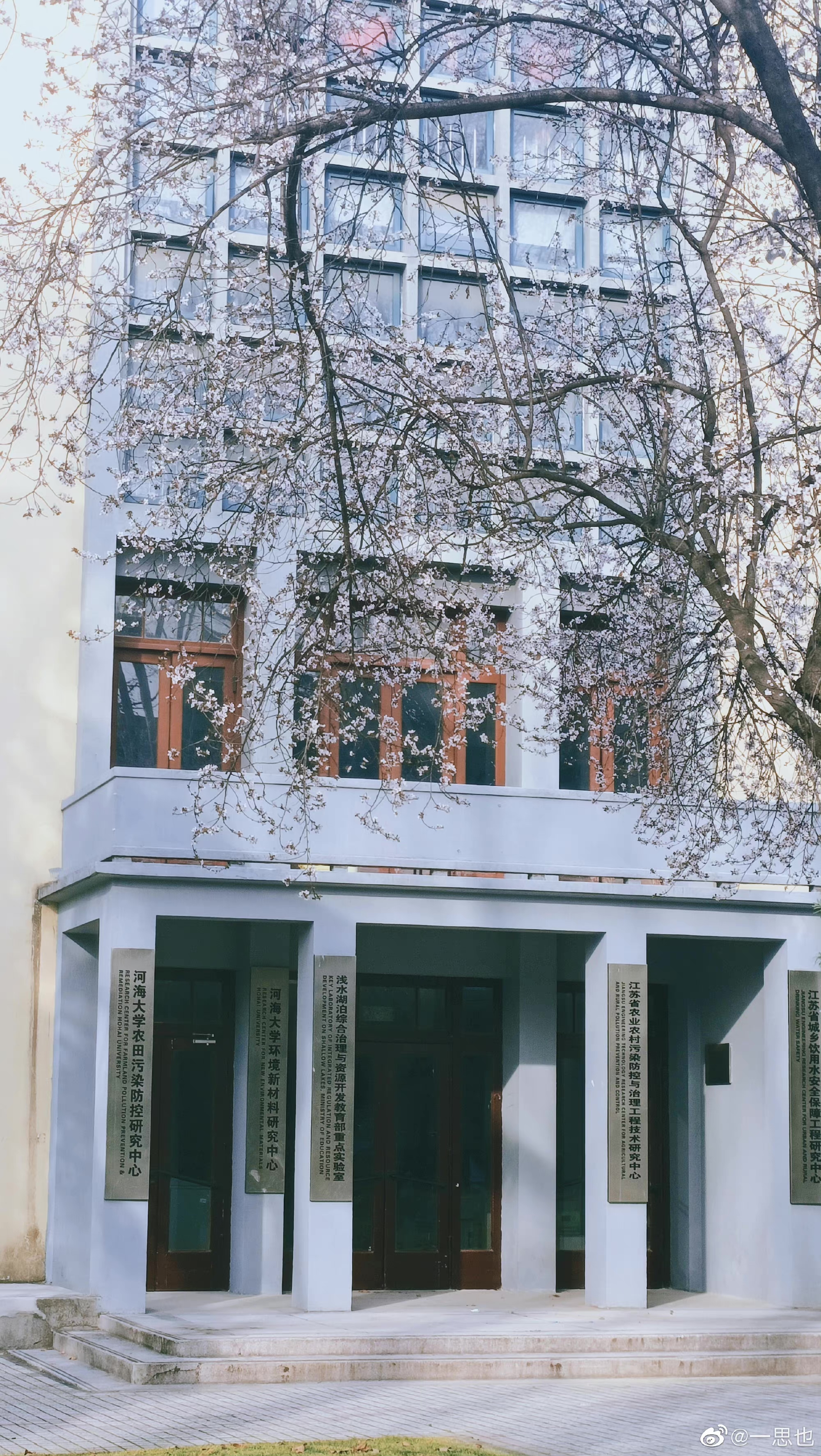 圖源:網(wǎng)友@一思也 圖源:網(wǎng)友@一思也